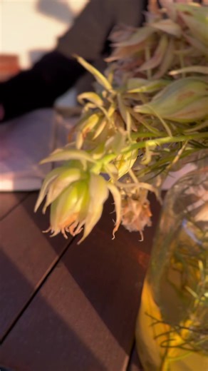 Milner Fashion House on TikTok