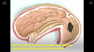 498K views · 4.4K reactions | A robot made of magnetic slime could be deployed inside the body to perform tasks such as retrieving objects swallowed by accident. https://www.newscientist.com/article/2314395-robot-made-of-magnetic-slime-could-grab-objects-inside-your-body/ | New Scientist | Facebook