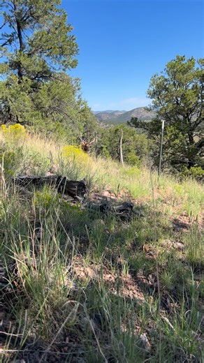 107 reactions · 28 comments | Natural Royston Turquoise cuff ~Size 6.25”~ Fits a 7.25” wrist I’ve really been enjoying making these cuffs lately. Looking forward to growing my skill set with these, incorporating more stamps and embellishments. #royston # turquoise #newmexico #silver #silversmith | Grey Cowan | Facebook