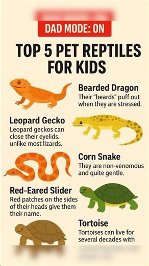 Top 5 Pet Reptiles For Kids 🦎🐢 | Dad Mode: ON