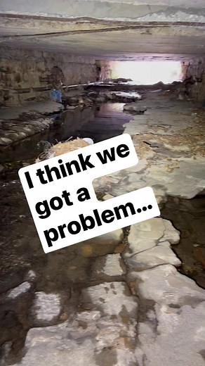 See full vids on YouTube Exploring Alabama #reels #treasure #rare #wow #amazing #love #happy #family #life #support #monetization #alabama #exploringalabama #outdoors #crazy #odd #stray #abandoned #cat #rare #dog #straycat | Exploring Alabama