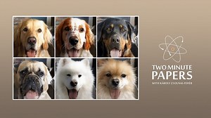 Snap! MS facial data down, NASA ISS rental, InHome groceries, pet face swapper