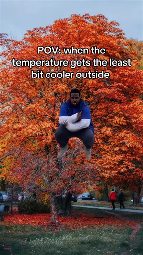 Embracing Fall: Sweater Weather and Memes