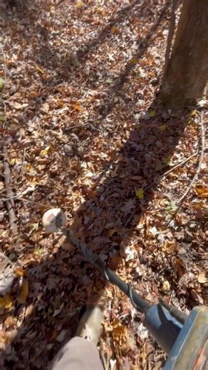 Eureka 🤟🏻✨⛏️💪🏻 we found another huge deposit of black sand with gold in it metal detecting #gold #goldmine #Minelab #blacksand #metaldetecting | NC Treasure Hunters Campground