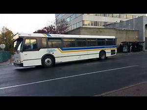 Beeline bus route 45 to Pelham Bay