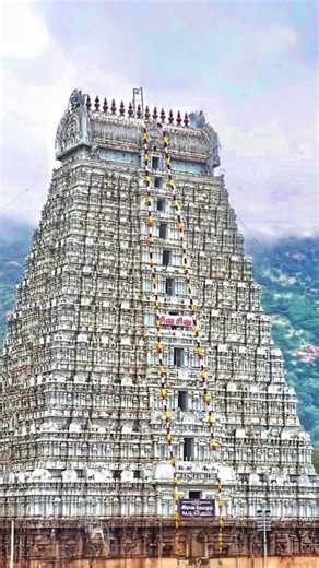 #ఓంనమశ్శివాయ #ఓంఅరుణాచలేశ్వరాయ నమః #god #devotional #trending##thiruvannamalai#e #shiva t#god