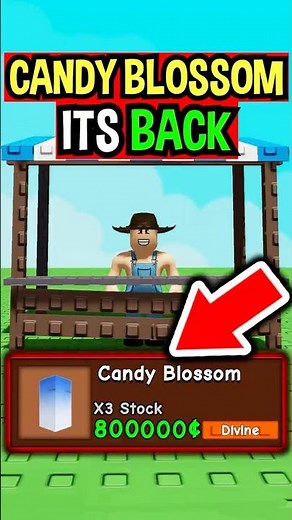 CANDY BLOSSOM IS BACK in Roblox Grow a Garden