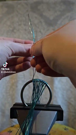 🌳 Start to finish, one strand at a time 🌿