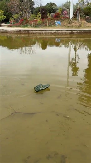 Crocodile Prank all remote control Very Funny 🤣#viral #shortvideos #shorts #funny #viralvideos #