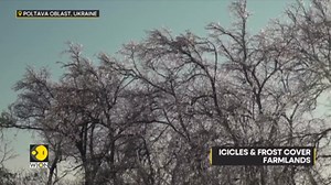 Cold weather grips Ukraine: Eastern Ukraine braces for freezing nights