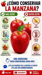 🍎 ¿CÓMO CONSERVAR LA MANZANA? #Manzana #Fruta #Salud #Consejos