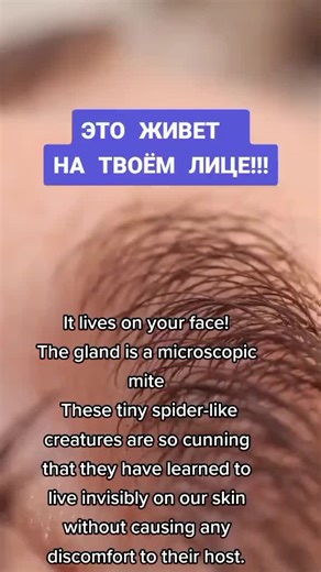 Anatomy & Medicine on TikTok