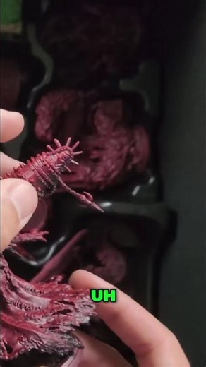 Unboxing The Tormentor: Grimcoven #shorts