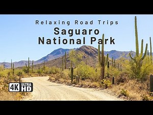 Driving Through Saguaro National Park & Tucson Mountain Park, Arizona | Scenic Desert Drive in 4K