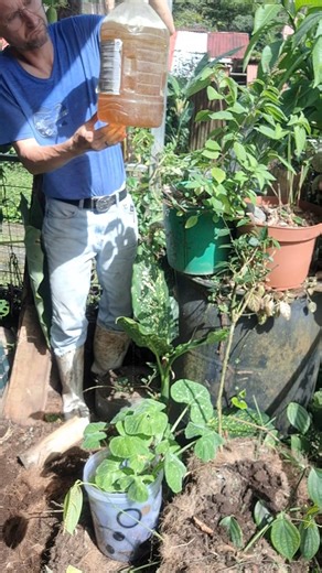 Nothing Wasted | A Closed-Loop Experience