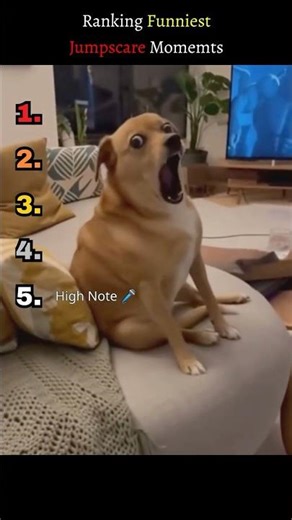 Ranking The FUNNIEST Jumpscare Moments EVER