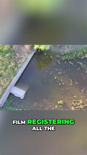 Akashic Records: Unveiling Soul's History & Karma #shorts