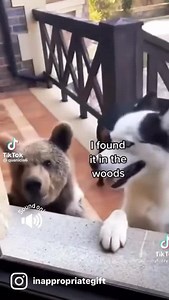 Sound on for full effect! | The Inappropriate Gift Co