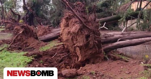 Ανεμοστρόβιλος στο Αγρίνιο: Εκτεταμένες ζημιές και πτώσεις δέντρων