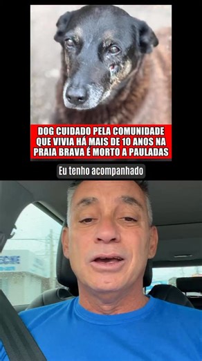 Fábio Botelho on Instagram: "ABSURDO!🚨 Essa é daquelas notícias que nos fazem desacreditar do ser humano. Maltratar um animal como aconteceu com esse cãozinho Orelha é covardia. Não sei vocês, mas pra mim esse tipo de atitude não pode ficar impune. Seguimos acreditando na Justiça. Descanse em paz, amiguinho Orelha. 😔"