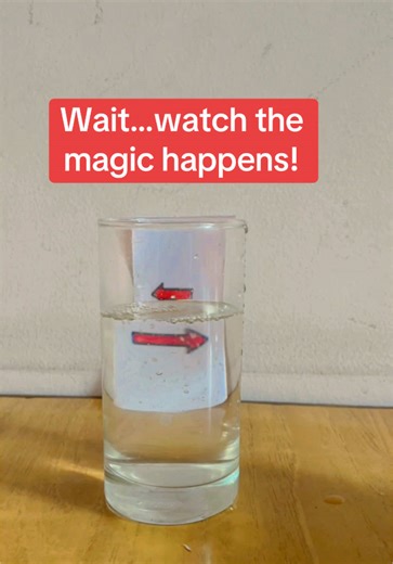 Exploring Light Refraction with Kids