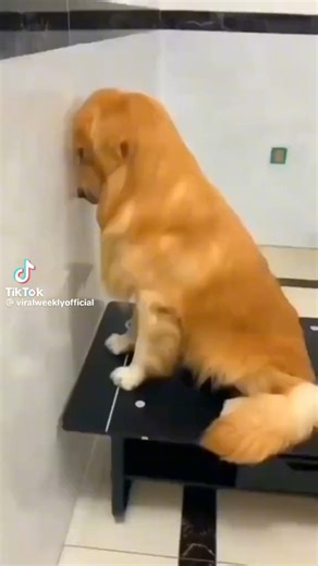 36K views · 496 reactions | GUILT!  This is the first in my series...