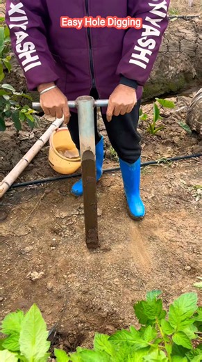 Tiwari Krishna on Instagram: "Tired of hard digging work? This simple manual digger makes hole digging faster, cleaner, and effortless. Ideal for farmers, gardeners, and rural work. Smart tool. Strong results. 💪🌱 --- #FacebookReels #FarmLife #SmartFarming #VillageLife #AgricultureTools #DesiJugad #FarmWork #GardeningTools #RuralIndia #ViralReels"