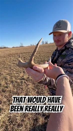 BUILD A BUCK SHED!!🔨🦌 #shed #deer #outdoors #hunting