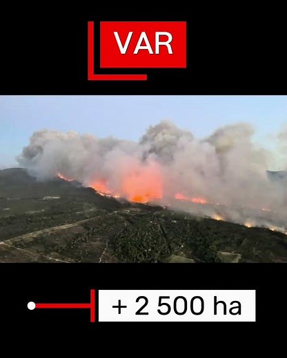 La France brûle : un simple geste peut éviter une catastrophe 🔥