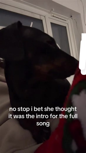 Understanding Childish Gambino's Musical Evolution