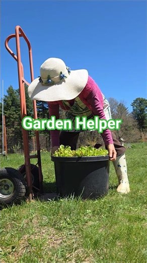 My #1 Tool for Heavy Lifting: The Garden Dolly