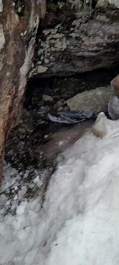 Exploring the Majestic Caves in Minecraft