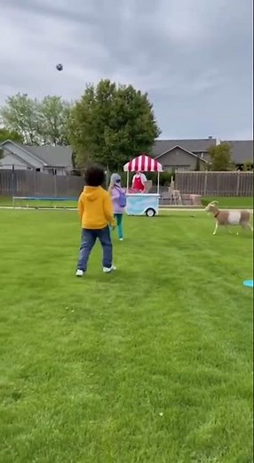 This Goat's Soccer Skills Are UNREAL! You Won't Believe It! #Funny #Goat