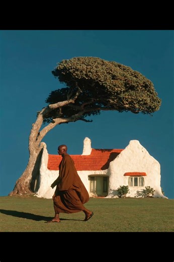 Discover the Diverse Cultures of Africa