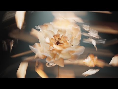 Dynamic Procedural Flowers in C4D - Part 1| Rendering with render farm (iRender)