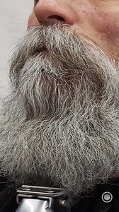 79K views · 596 reactions | Jesse gives Hugo movement without the weight in this slick trim! | Beardbrand | Facebook