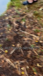 Min granne är grym som fått i mig i vattnet på mornarna.. men nu börjar det bli kallt tycker jag så jag försöker få ner tempen lite så även hon inser det.. men NÄ!! Det gick inte..🤣 #vadärdetföridioteränna | K.Palmnäs ART