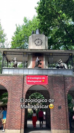 Explorando el Zoológico de Central Park en Nueva York