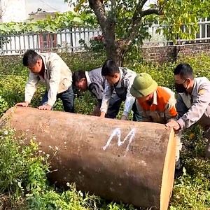 17K views · 180 reactions | Turn A 2000 Year Old Giant Tree Into A Beautiful Work Of Art | WT HD Woodworking | Facebook