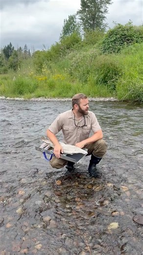 Follow up to yesterday's post featuring our 27 Inch Compact Aluminum Sluice Box, let's see our gold prospecting brand ambassador Pan for Gold with Bobby Bo get it set it up in the river 👀 Shop the sluice box here: https://tinyurl.com/3d4rn9x8 #ASROutdoor #GoldPanning #GoldProspecting #RiverSluicing #SluiceBox #GoldProspectingEquipment #PNW #Rainier #GetOutside #PanForGoldWithBobbyBo | ASR Outdoor