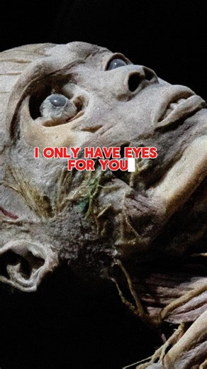 I Only Have Eyes for You 👁️💕 Your eyes process 36,000 bits of information every hour. Over 2 million working parts in each one. See the anatomy behind every gaze. 👀 📍 Bodies Human, Gatlinburg, TN | Bodies Human