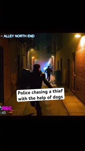 Police chasing a thief. #police #dogshorts #shorts