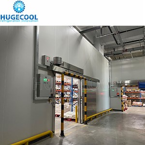 [Hot Item] Commercial Walk in Freezer Cold Storage Room for Fish 500ton