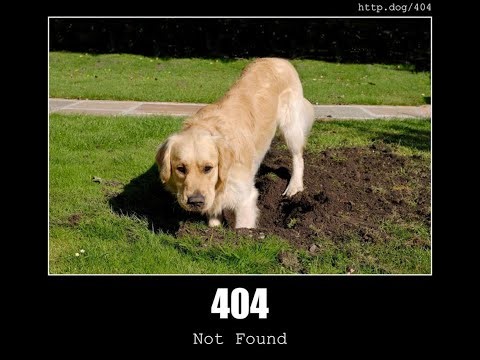 Every HTTP Status Code Explained with Dog Memes 🐕