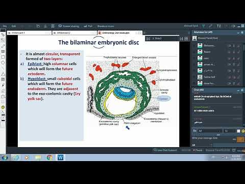 Events of 2nd Week of Pregnancy + Formation of Placenta - Dr. Ahmed Farid