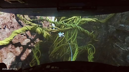 近距离感受7D视角效果