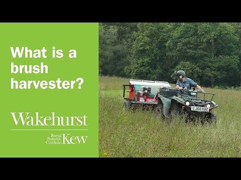 What is a brush harvester?