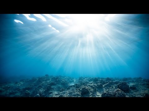 cupcakKe - Squidward Nose (Bass Boosted)