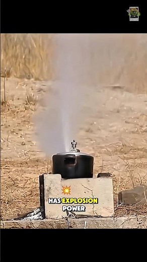 The Science Behind Pressure Cooker Explosions