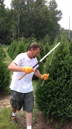 Christmas tree trimming - Two-Hand